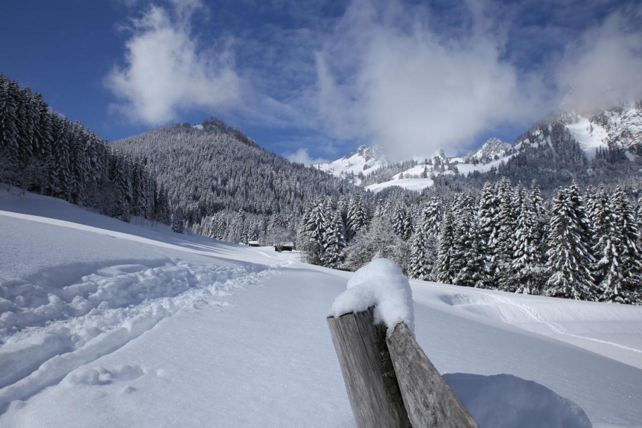 Heerlijke Wandel Of Ski Vakantie In Torgon Portes Du Soleil Exterior foto